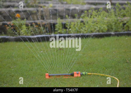 Irrigazione sprinkler il giardino Foto Stock