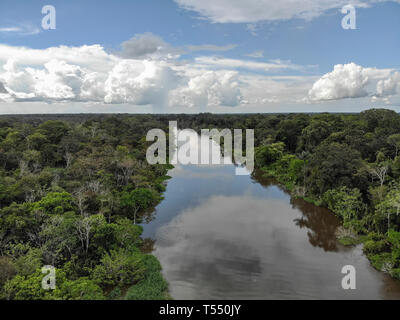 Vista aerea del Cano Belludo, affluente del fiume Ucayali Foto Stock