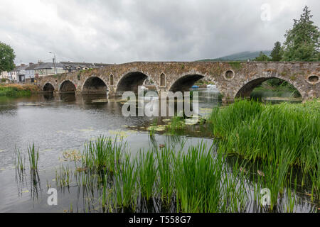 Graiguenamanagh ponte di pietra sul fiume Barrow in Graiguenamanagh, nella Contea di Kilkenny, Irlanda. Foto Stock