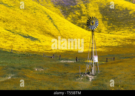 Un mulino a vento si trova in una valle al di sotto di coperte wildlfower hillsin lungo CA 58 in Caifornia Temblor della gamma. Foto Stock