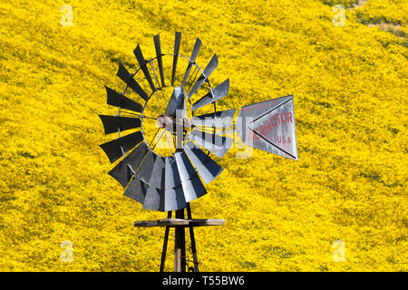 Un mulino a vento si trova in una valle al di sotto di coperte wildlfower hillsin lungo CA 58 in Caifornia Temblor della gamma. Foto Stock