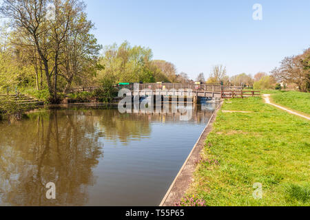 Falcon prato bungay Waveney Fiume Foto Stock