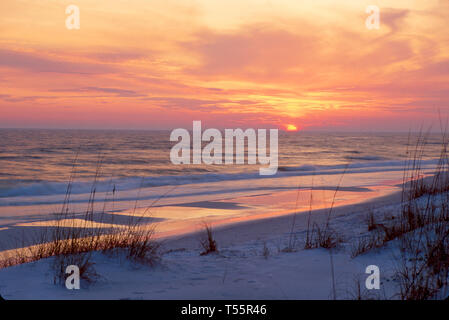 Florida Gulf Coast Dune Allen spiaggia, sabbia, surf, mare avena dune naturali tramonto, panoramica, natura, naturale, paesaggio, paesaggio, paesaggio, natura, naturale, FL371 Foto Stock