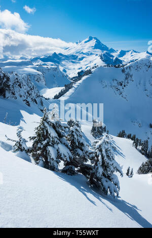 Mount Baker Ski Area nello Stato di Washington, USA Foto Stock