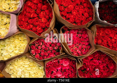 Thailandia, Bangkok, Thanon Chakkraphet, il mercato dei fiori, commercio all'ingrosso grappoli di rosso e rose bianche sul display Foto Stock