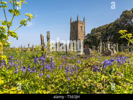 Bluebells in primo piano che si affaccia sul vecchio cimitero della chiesa di St.Uny Lelant nr St. Ives Cornwall Regno Unito Europa Foto Stock