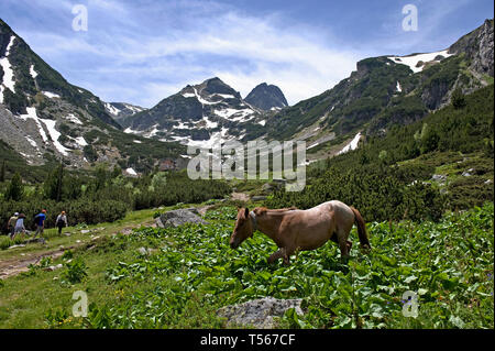 Rila montagne/ sud-ovest della Bulgaria: escursionismo regione Malyovitsa Foto Stock