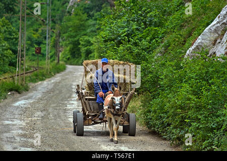 Demir Kapija / Repubblica di Macedonia - Contadino con donkey carrello portante la paglia Foto Stock