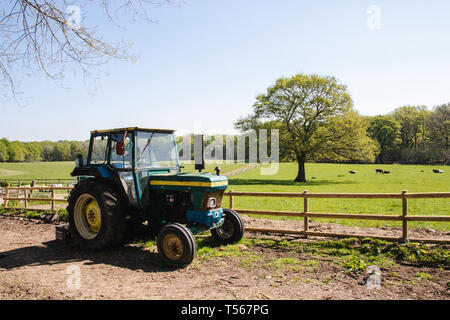 Trattore verde su un English azienda agricola con allevamento di bestiame in background Foto Stock