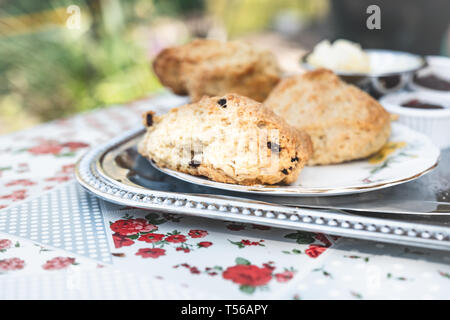 Scones con marmellata su per un tè inglese pomeridiano presso un giardino teashop. Foto Stock