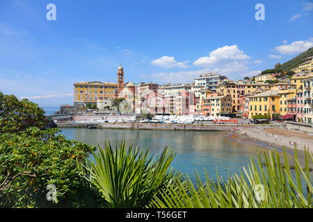 La colorata riviera italiana paesaggio del Porticciolo dock e il molo di Genova Nervi Foto Stock