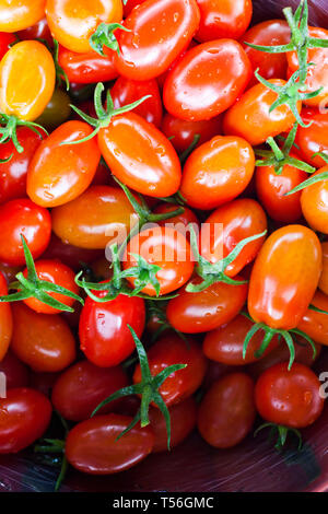 Ripe rosso home freschi coltivati pomodori ciliegia Foto Stock