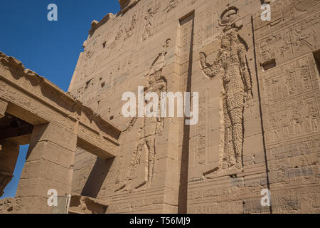 Le sculture in Tempio di Philae in Aswan Foto Stock