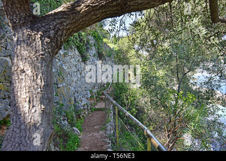 Sentier Littoral percorso escursionistico tra Villefranche e Nizza, Francia Foto Stock