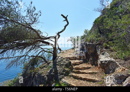 Sentier Littoral percorso escursionistico tra Villefranche e Nizza, Francia Foto Stock