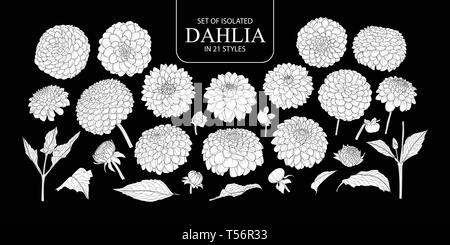 Set di isolato silhouette bianca Dahlia in 21 stili. Carino disegnato a mano fiore illustrazione vettoriale nel piano bianco senza contorno su sfondo nero. Illustrazione Vettoriale