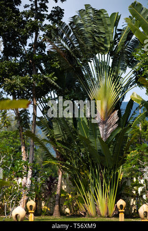 Palme su un isola - Ko Chang, Thailandia, Aprile 2018 - Pomeriggio Foto Stock