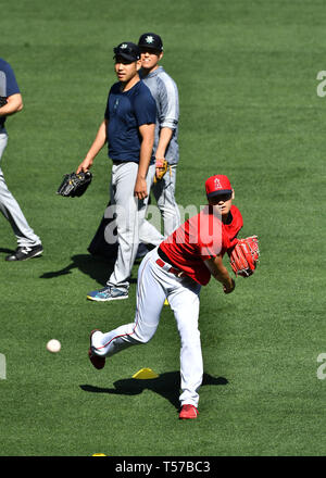 Los Angeles Angels' Shohei Ohtani gioca catch come Seattle Mariners' Yusei Kikuchi passeggiate passato lui prima della Major League Baseball gioco contro i Seattle Mariners all'Angel Stadium di Anaheim, California, Stati Uniti, 19 aprile 2019. Credito: AFLO/Alamy Live News Foto Stock