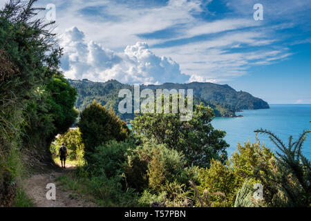 Escursionista sul sentiero in Orokawa riserva paesaggistica, Waihi Beach, Baia di Planty, Isola del nord, Nuova Zelanda Foto Stock