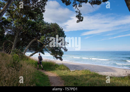 Escursionista sul sentiero in Orokawa riserva paesaggistica, Waihi Beach, Baia di Planty, Isola del nord, Nuova Zelanda Foto Stock