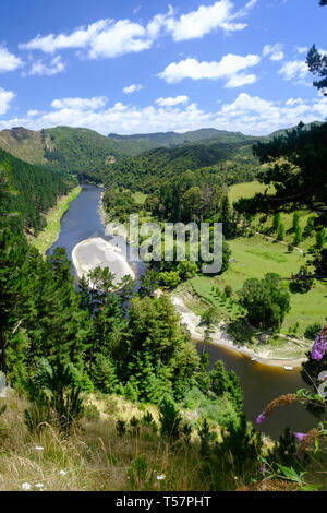 Il fiume Whanganui vicino all'entrata Whanganui National Park, vicino Whanganui, Isola del nord, Nuova Zelanda Foto Stock