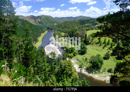 Il fiume Whanganui vicino all'entrata Whanganui National Park, vicino Whanganui, Isola del nord, Nuova Zelanda Foto Stock