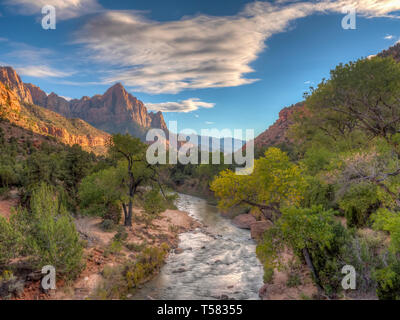 Parco Nazionale di Zion è un American National Park si trova nella parte sud-ovest della Utah vicino alla città di Springdale. Foto Stock