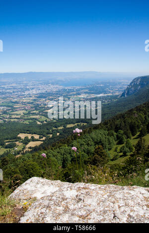 Altitudine Panorama sul lago Leman e francese Haute Savoie Valle su una soleggiata giornata estiva Foto Stock