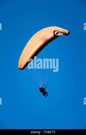 Istruttore di parapendio volare con il cliente nel Cielo di estate blu Foto Stock
