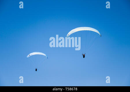 Istruttore di parapendio volare con il cliente nel Cielo di estate blu Foto Stock