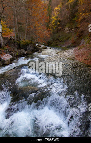 Auttum bellissimo paesaggio forestale a Ainsa huesca, Spagna Foto Stock