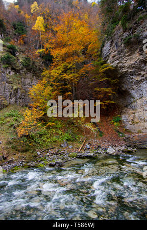 Auttum bellissimo paesaggio forestale a Ainsa huesca, Spagna Foto Stock