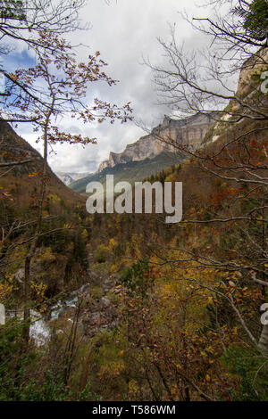 Auttum bellissimo paesaggio forestale a Ainsa huesca, Spagna Foto Stock