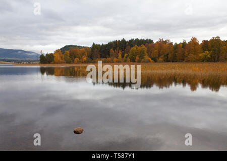 Loch Pityoulish e riflessioni Rothiemurchus Estate Highland Regione Scozia UK Ottobre 2016 Foto Stock