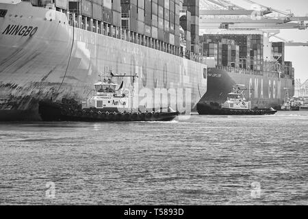 La foto in bianco e nero della nave container COSCO Ningbo è guidata all'ormeggio J270 dall'AmNav Tractor Tug Independence presso il terminal container di Long Beach Foto Stock