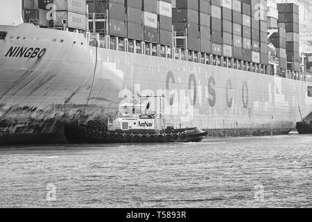 La foto in bianco e nero della nave container COSCO Ningbo è guidata all'ormeggio J270 dall'AmNav Tractor Tug Independence presso il terminal container di Long Beach Foto Stock