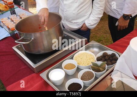Dimostrazione culinaria dal Ritz Carlton chef, Sagra del pomodoro, Mercato Agricolo, Budaiya, Regno del Bahrein Foto Stock