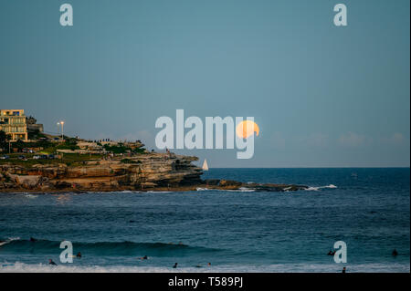 Full Moon Rising oltre la spiaggia di Bondi, Sydney, Australia Foto Stock