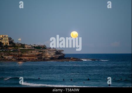 Full Moon Rising oltre la spiaggia di Bondi, Sydney, Australia Foto Stock