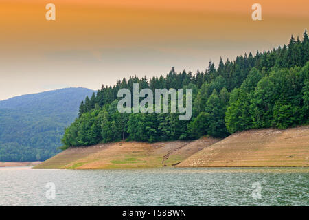 Basso livello di acqua sul lago di Bicaz, Foresta estate sulla costa. Foto Stock