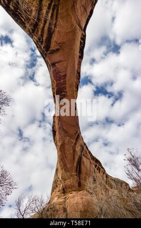 Arco di roccia, Sipapu Bridge, prospettiva di rana, ponti naturali monumento nazionale, Utah, Stati Uniti d'America Foto Stock