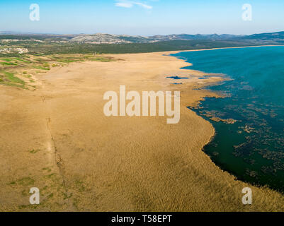 Canne d'inverno a Vransko jezero (Lago di Vrana) In Croazia Foto Stock