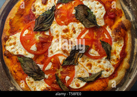 New York style pizza Margherita con mozzarella fresca e le foglie di basilico Foto Stock