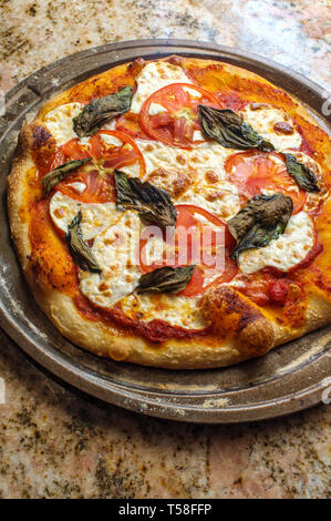 New York style pizza Margherita con mozzarella fresca e le foglie di basilico Foto Stock