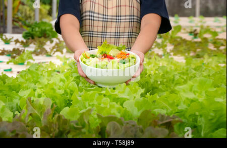 Organico fresco con insalata di tonno nella vaschetta bianca in fattoria Foto Stock