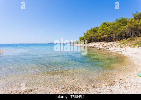 Spiaggia di pino, Pakostane Croazia, Europa - visitare la Baia Turchese di Pakostane Foto Stock