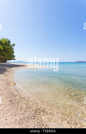 Spiaggia di pino, Pakostane Croazia, Europa - la natura al suo meglio presso la spiaggia di Pakostane Foto Stock