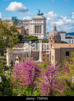 The roman forum with purple flowers during spring time. Rome, Italy. Foto Stock