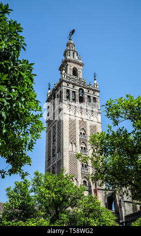 La Giralda torre campanaria, Cattedrale, Siviglia, Spagna Foto Stock