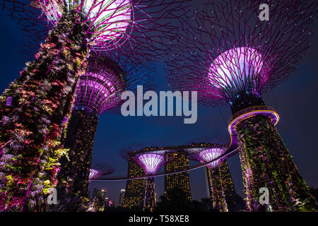 Supertree Grove e skyway a Singapor Marina Garden Foto Stock